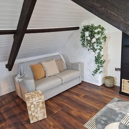 The Loft At Foxglove Apartamento Inch (Cork)